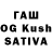 Каннабис LSD WEED Nova Galleria