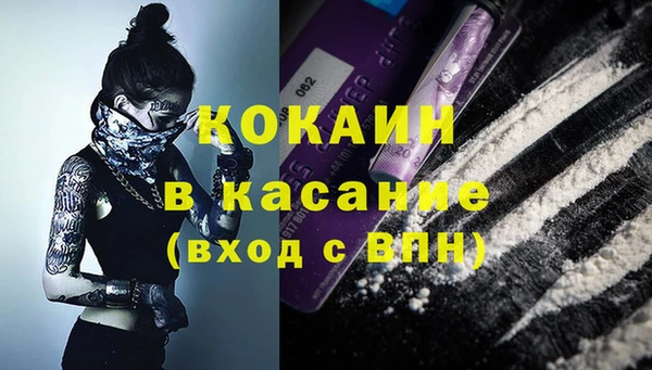 твердый Алзамай