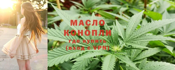 мдпв Протвино