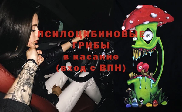 твердый Алзамай