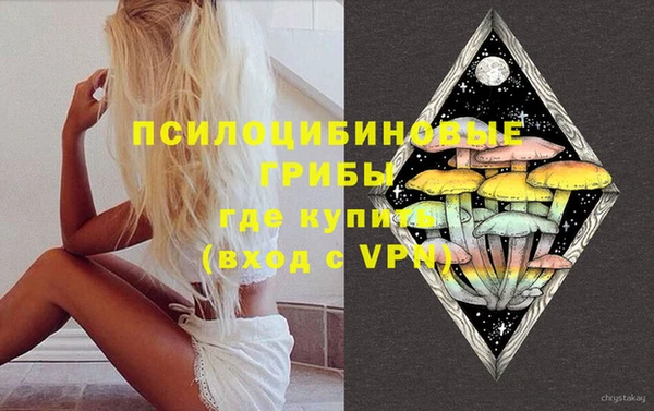 твердый Алексеевка
